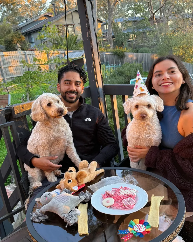 Yen and Nico celebrating on a backyard deck with two cream poodles, one wearing a party hat