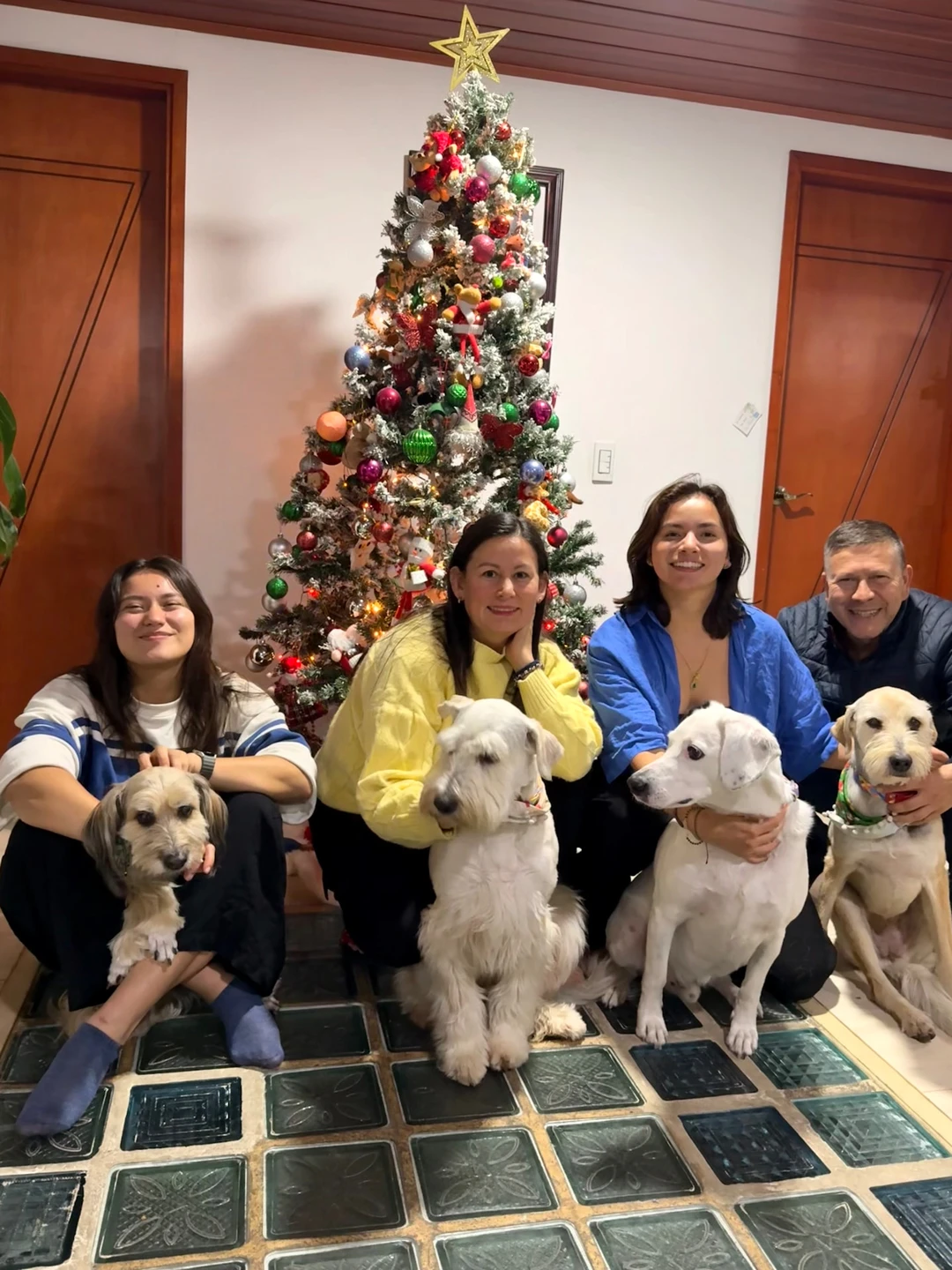 A festive family photograph: four people sitting on a tiled floor with four dogs in front of a decorated Christmas tree topped with a gold star