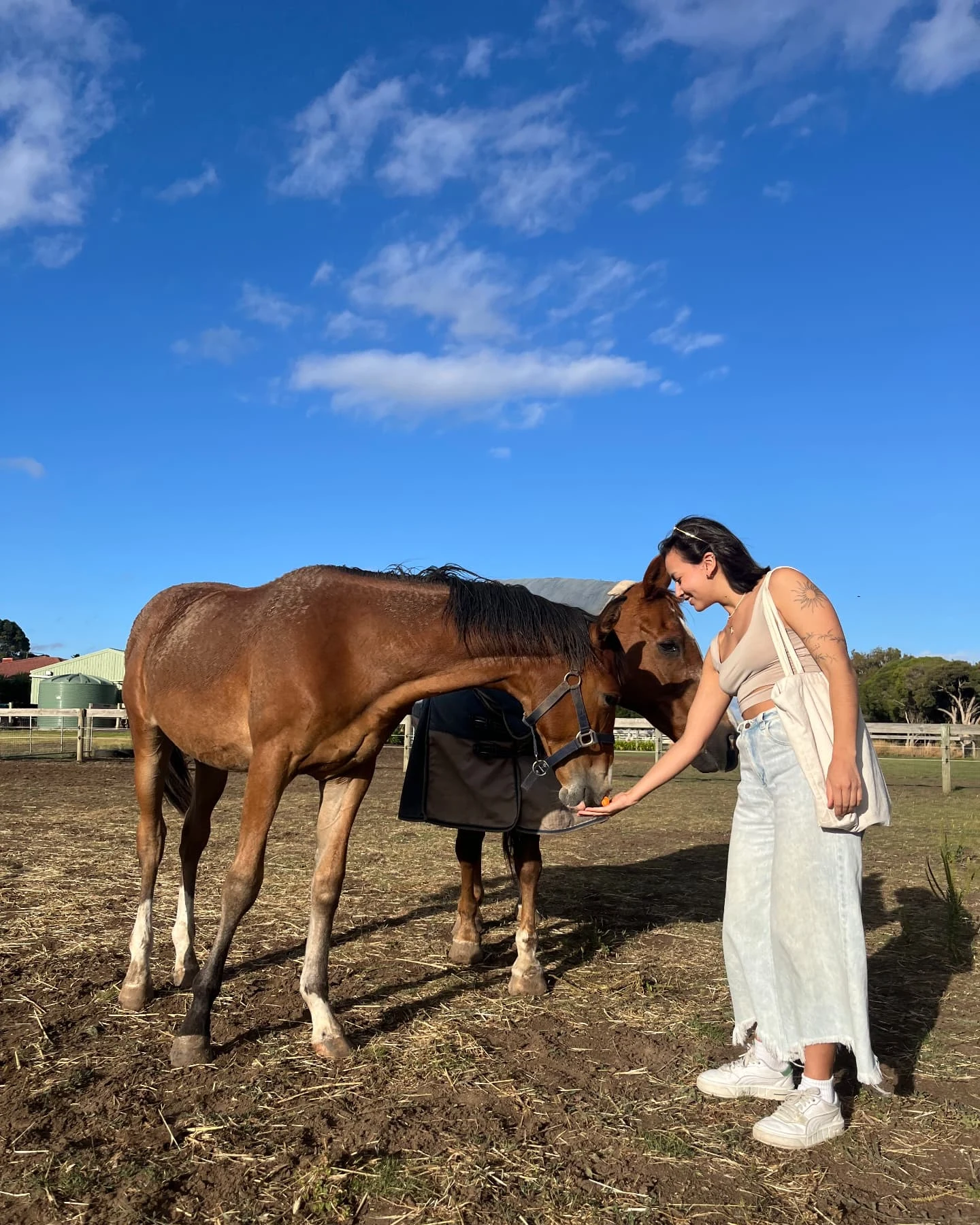 Yen standing in a sunny paddock in profile, offering a carrot to a young bay horse that lowers its head to take it from her hand, a second horse in a rug standing close behind