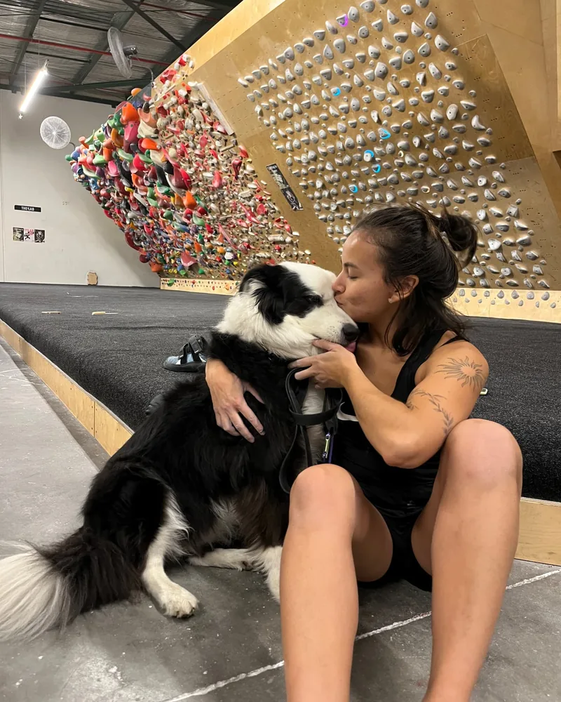 Yen kissing a black and white border collie at an indoor climbing gym