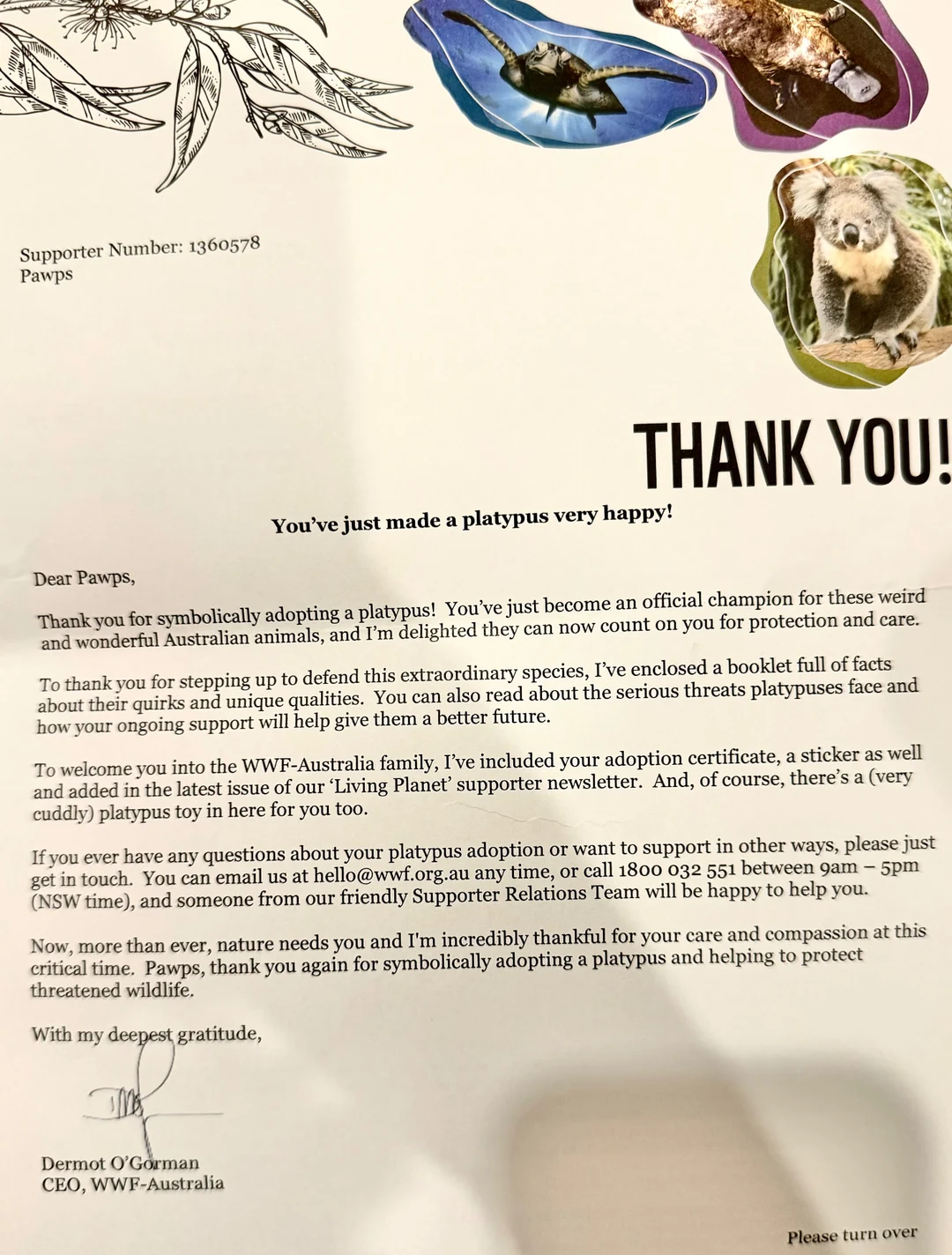 Printed thank-you letter from WWF-Australia to Pawps for symbolically adopting a platypus, headed with a eucalyptus sketch and cut-out photos of a sea turtle, a platypus and a koala.